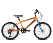 20" Tiger Warrior Orange Blue10" frame Boys Bike for 5 to 8 years old